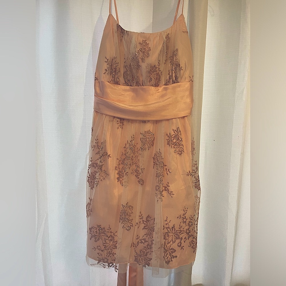 💕Deb’s Blush Pink Mini Dress💕